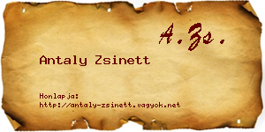 Antaly Zsinett névjegykártya